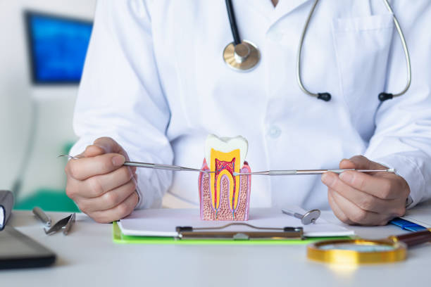 Best Emergency Dental Care for Trauma or Injury in Beach City, TX